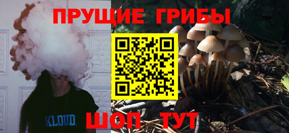 Галлюциногенные грибы Cubensis Буйнакск